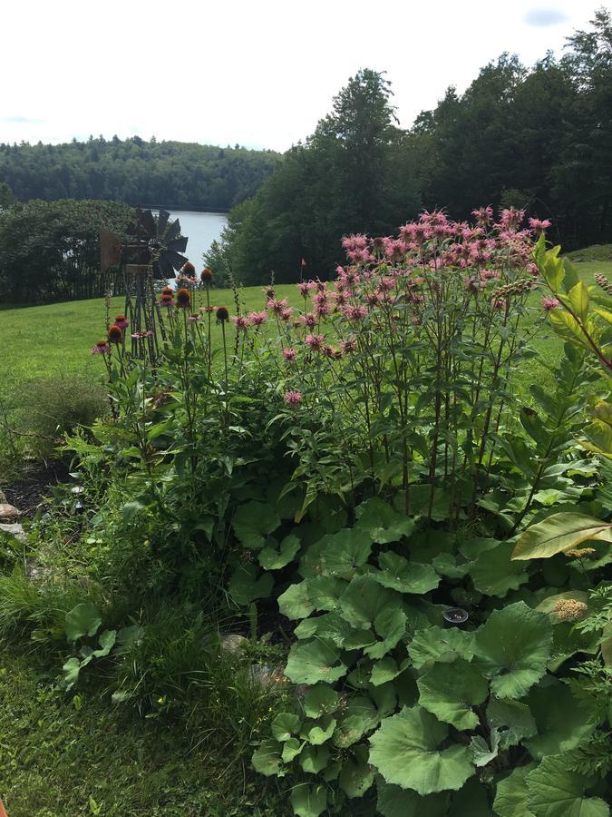 Stoddard Hummingbird Hill B&B 외부 사진