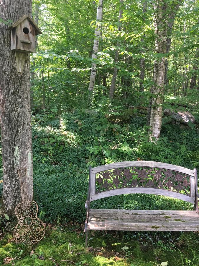 Stoddard Hummingbird Hill B&B 외부 사진